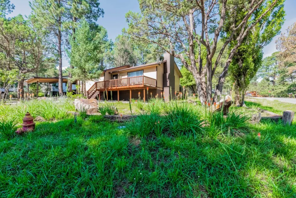 99d7af6b 1074 4597 8f37 75928b92f6b7.jpg