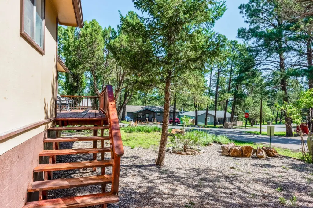 c0bd85f9 814e 4e1f a793 88dbd08d7a6b.jpg