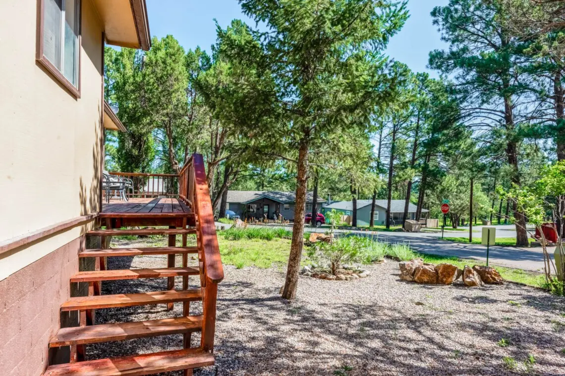 c0bd85f9 814e 4e1f a793 88dbd08d7a6b.jpg