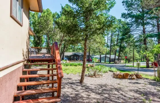 c0bd85f9 814e 4e1f a793 88dbd08d7a6b.jpg